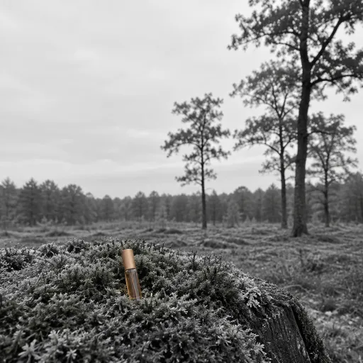 The chypre almost died in a lab, not on the shelf: how oakmoss rules rebuilt a whole family