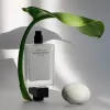 Rose candlelight elegance: how creamy white petals inspire intimate fragrance rituals