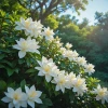 The nuanced beauty of gardenia smell in perfume and home fragrance