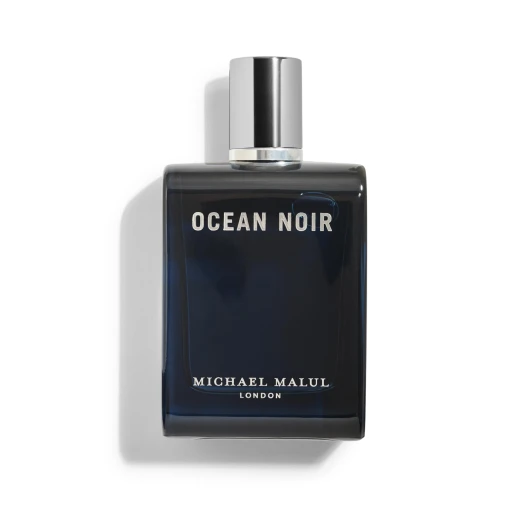 Ocean Noir Eau de Parfum for Men - 100ml - 3.4oz 3.4 Fl Oz (Pack of 1)