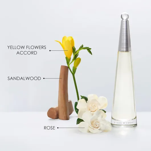 61SAMJNxXML._SL1500_