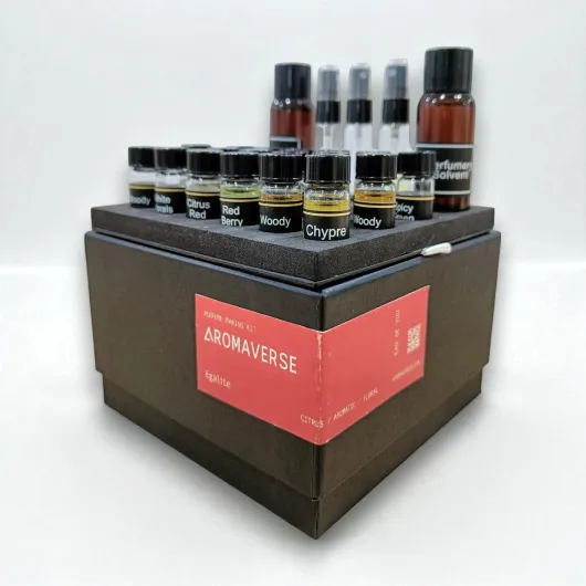 EGALITE I DIY Perfume Making Kit- 16 Aromatic Ingredients- Perfumery Solvent- Spray Bottle & Guided Formulations to Create Custom luxury Eau De Parfum for Men & Women- Perfect Scented Gift