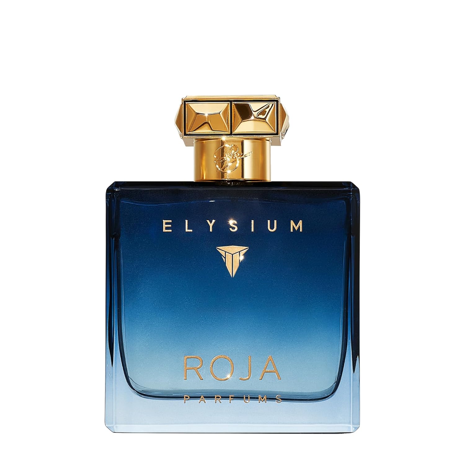 Roja Elysium Parfum Pour Homme 3.4 Fl Oz (Pack of 1)