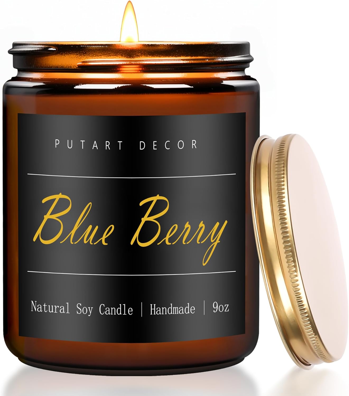 Blueberry Candles for Home Scented, Natural Soy Aromatherapy Non Toxic Candles with Long Lasting Fragrance & Clean Burn, Luxury Jar Candle Gift for Women, Men, Home Decoration 9oz Blue Berry