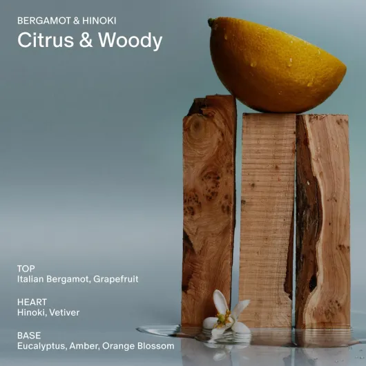 71dQVkRZ0KL._AC_SL1500_