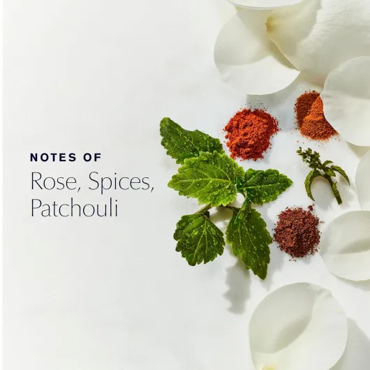 81 7ZzECE4L._SL1500_