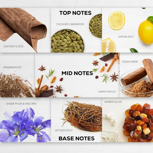 81xs5YBg YL._AC_SL1500_