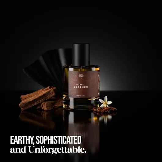 51ahb4X2onL._SL1080_