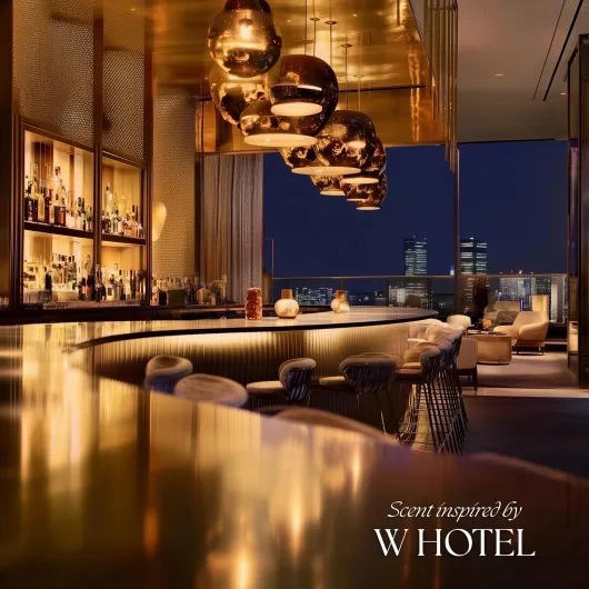 91JAM9EjZjL._AC_SL1500_