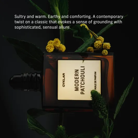 61iC23mZz6L._SL1500_