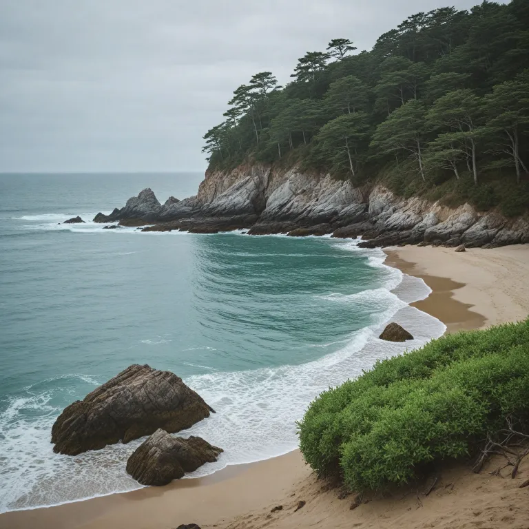 Embracing the allure of wood sage and sea salt in modern perfumery