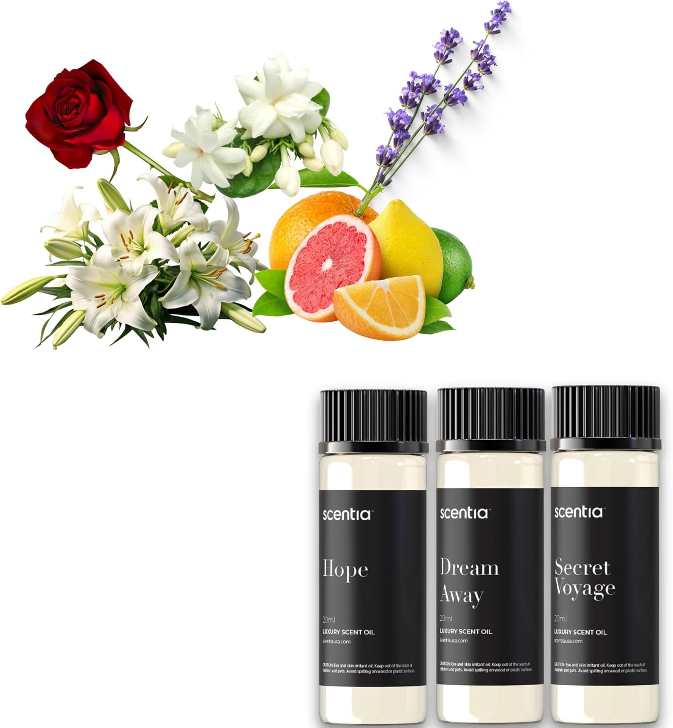 Perfume-Inspired Essential Oil Set – 3×20ml Diffuser Oils with Floral & Woody Notes - Designer Fragrance Blends for Home, Spa & Aromatherapy - Thanksgiving & Holiday Gift 5 - Designer Collection – 3x20ml 0.67 Fl Oz (Pack of 3)