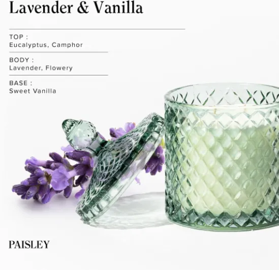 71ey4JvujJL._AC_SL1500_