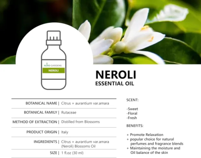 7154WCZsoML._AC_SL1500_