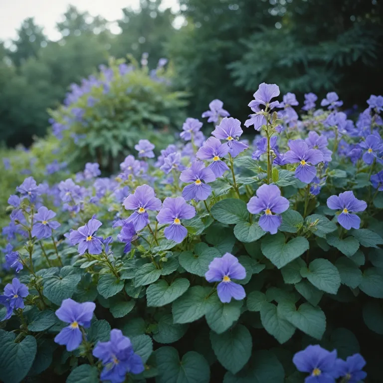 The allure of violet fragrance perfume: a floral journey for perfume lovers
