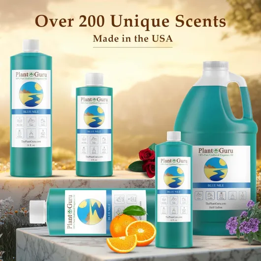 81-fhvun1HL._AC_SL1500_