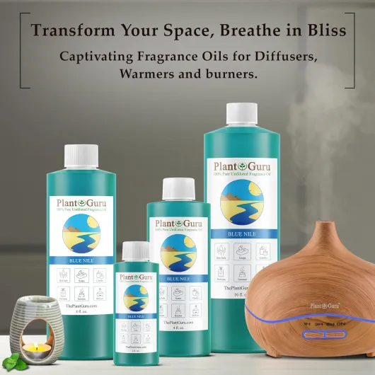 81TKyepkdFL._AC_SL1500_