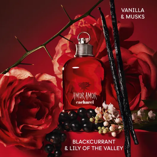 71Ux5dWbimL._SL1500_