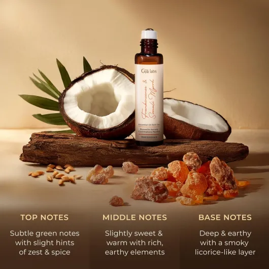 71Y36CBxGXL._AC_SL1200_