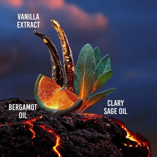 711sUNORGLL._SL1500_