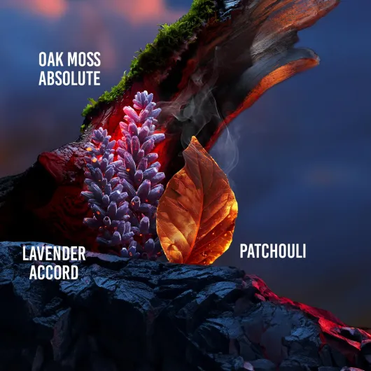 71DOSQV rKL._SL1500_