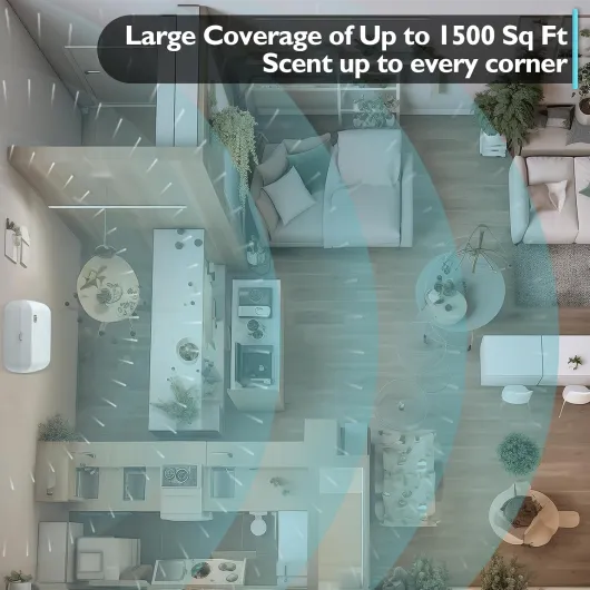 71XaW0xlBxL._AC_SL1500_