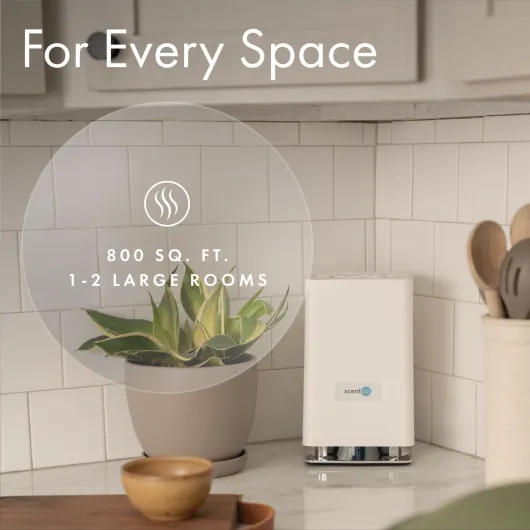 61sDL8PTMCL._AC_SL1500_