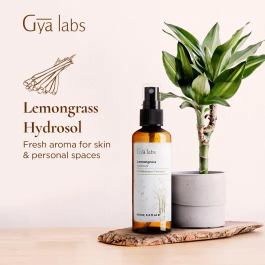 61z41Pq2NuL._SL1200_