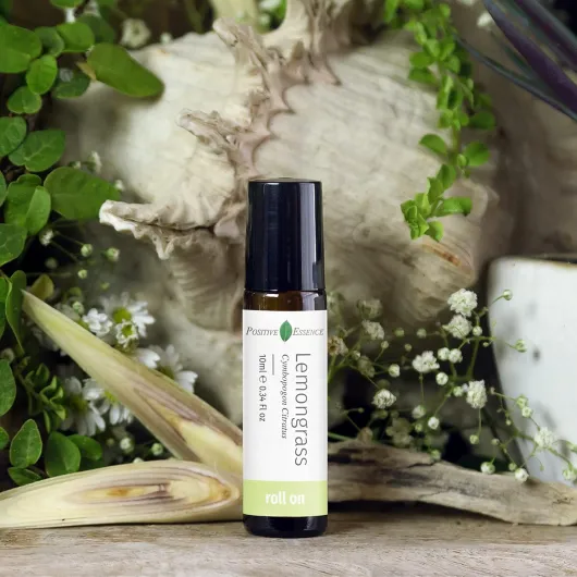 81ANOvqDNAS._AC_SL1500_