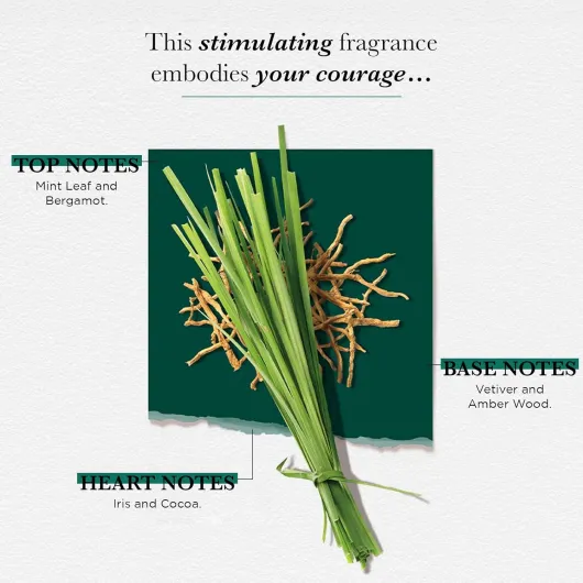 71LoDlbIzML._SL1500_