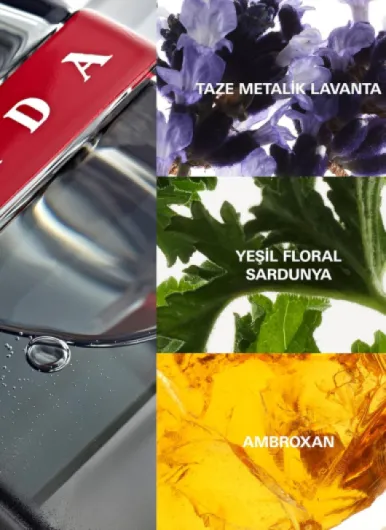 71aVMHnRzQL._SL1500_