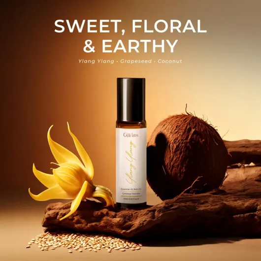 61QQwyz2RsL._AC_SL1200_