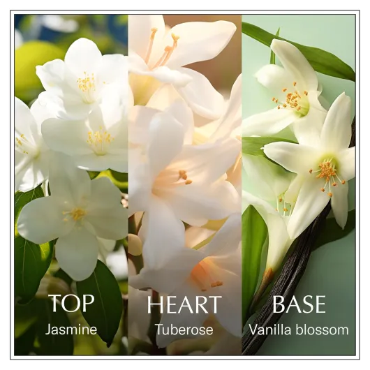 81 dTZft9CL._SL1500_