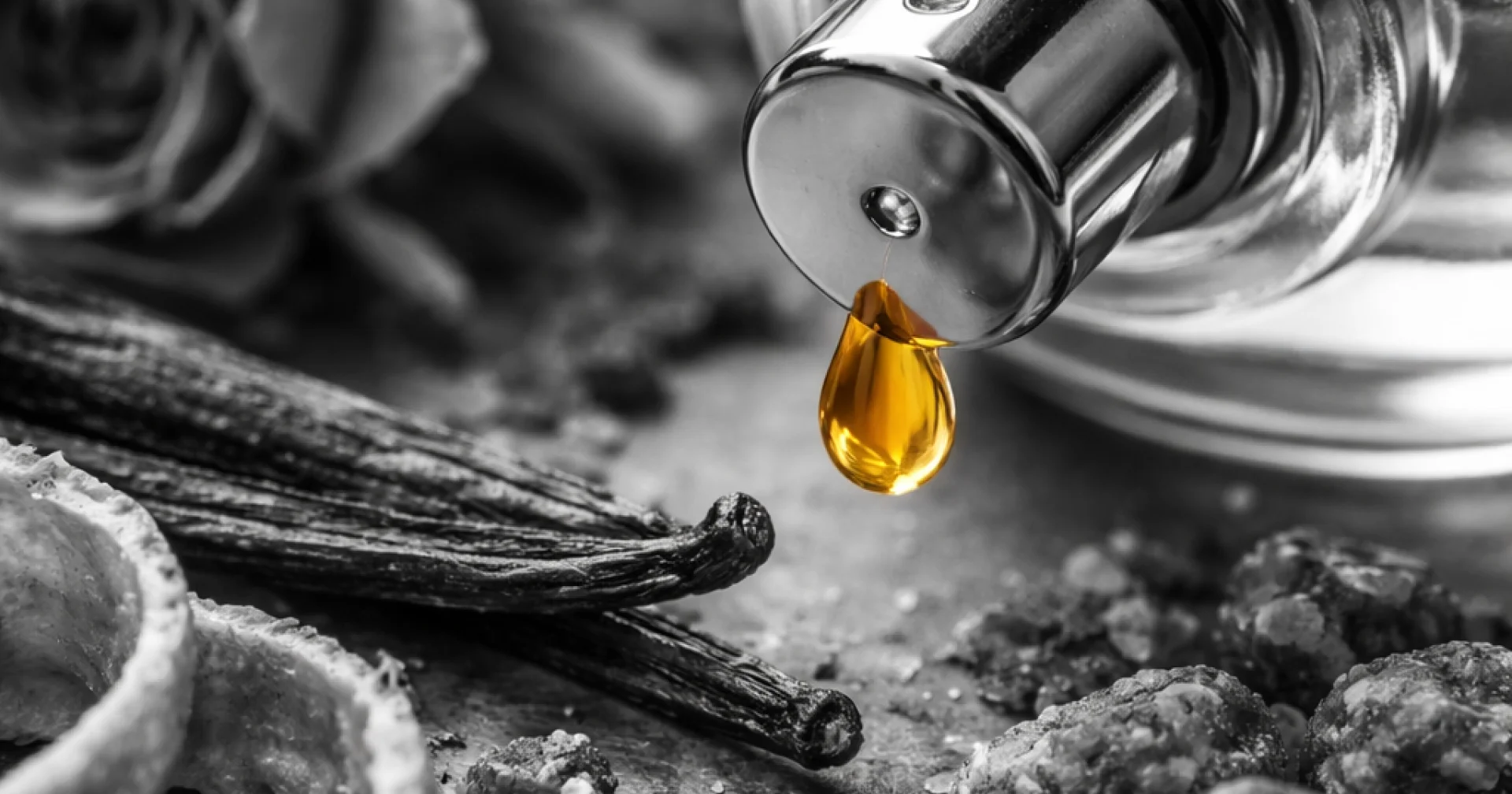 Perfume ingredients guide: what actually goes into the bottle on your ...