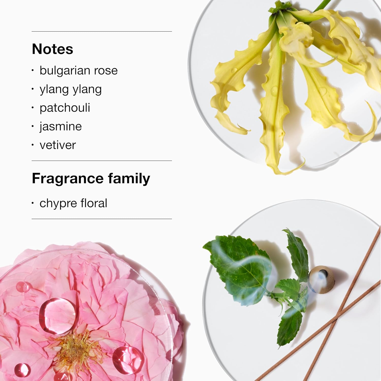 Clinique Aromatics Elixir Eau De Parfum Spray - Cult Classic Luxury Perfume - Notes Of Bulgarian Rose, Ylang Ylang, Patchouli, Jasmine + Vetiver 100 ml (Pack of 1)