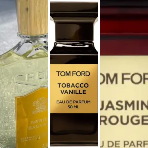 Comparison of the 8 best medium (31-75 ml) (June 2026)
