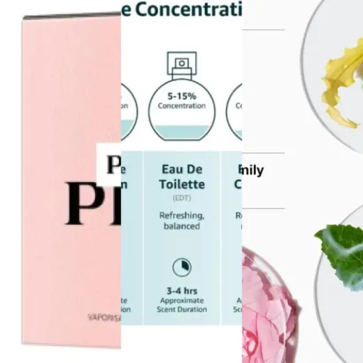 Our selection of the 3 best large (76-150 ml) (June 2026)