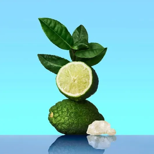 41BfRHyRmUL._AC_
