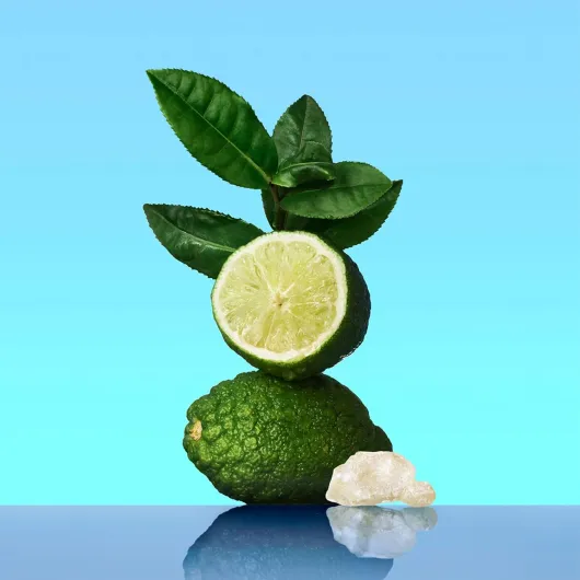 71SpZS0-URL._AC_SL1500_