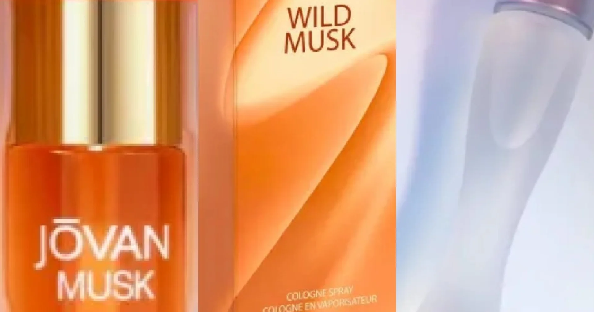 Ranking of the 6 best musk (2026)