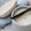 The quiet luxury of vanilla scented candles for true fragrance lovers